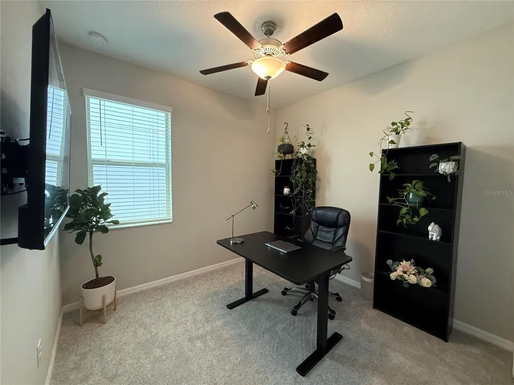 9601 FLOURISH DRIVE Land O Lakes, FL 34637