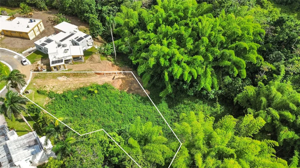 8 ESTRELLA BLQ G10 Guaynabo, PR 00971