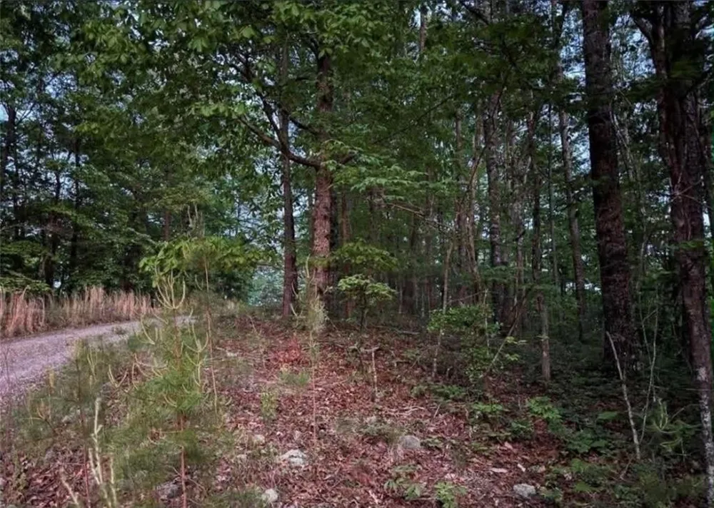 562 Neptune Circle NE Ranger, GA 30734