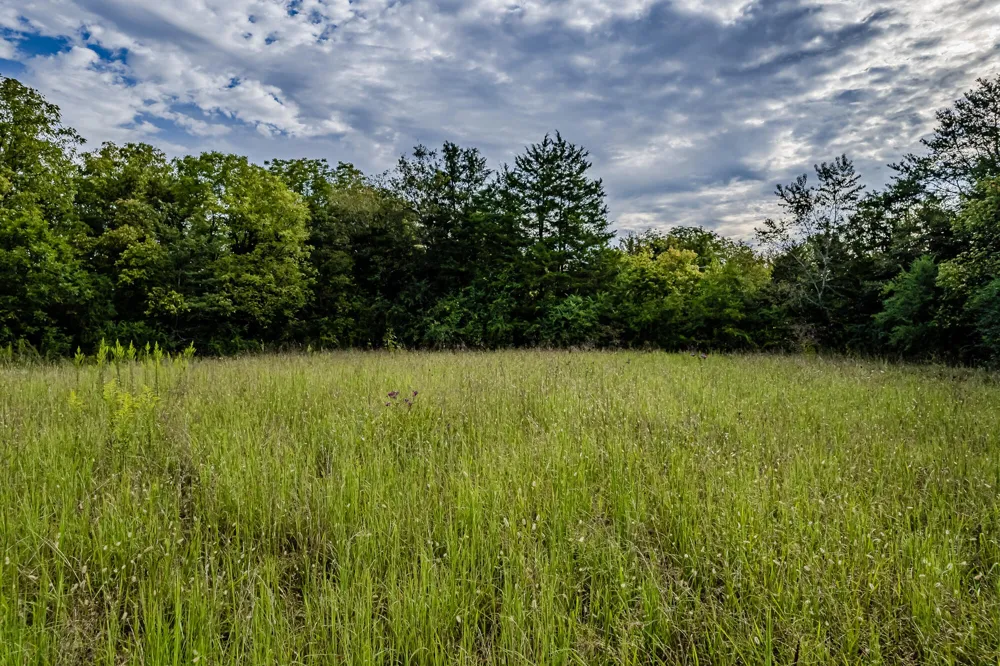 0 County Road 432 Englewood, TN 37329