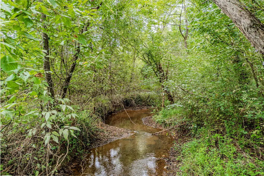 0 County Road 432 Englewood, TN 37329