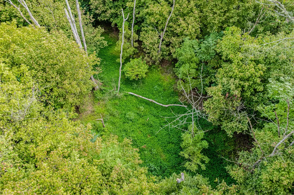 0 County Road 432 Englewood, TN 37329