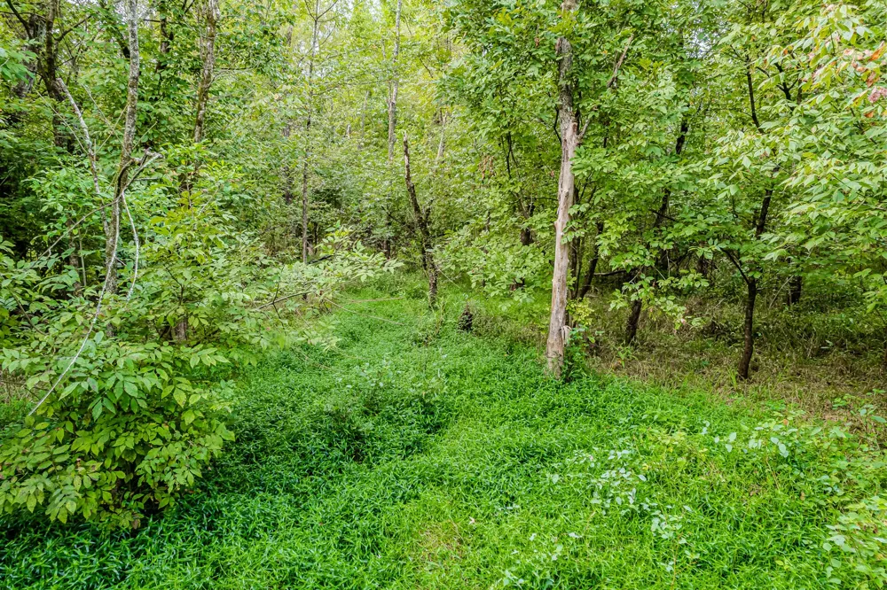 0 County Road 432 Englewood, TN 37329