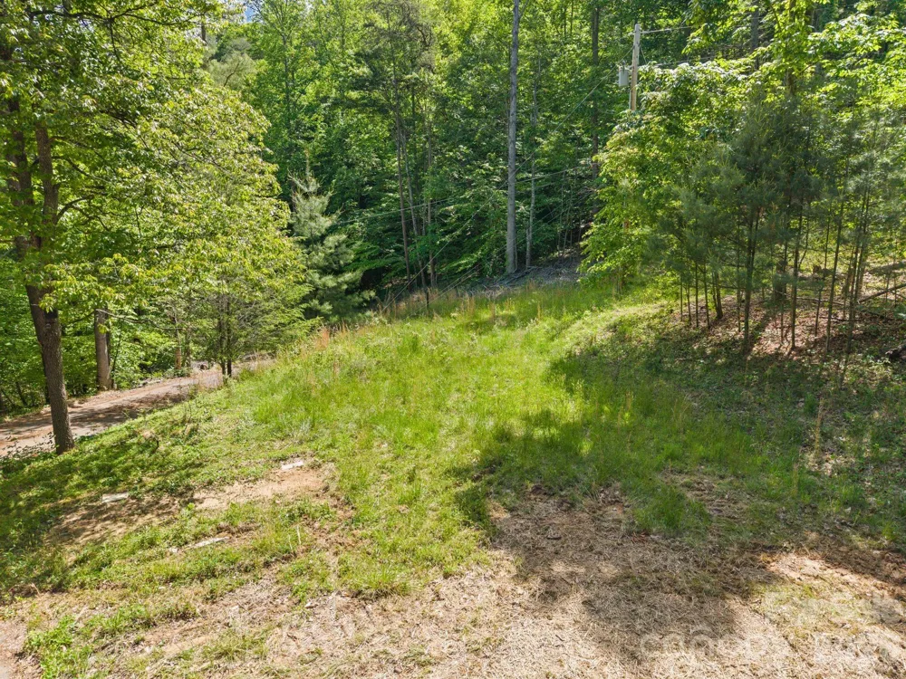31 White Bridge Road Weaverville, NC 28787