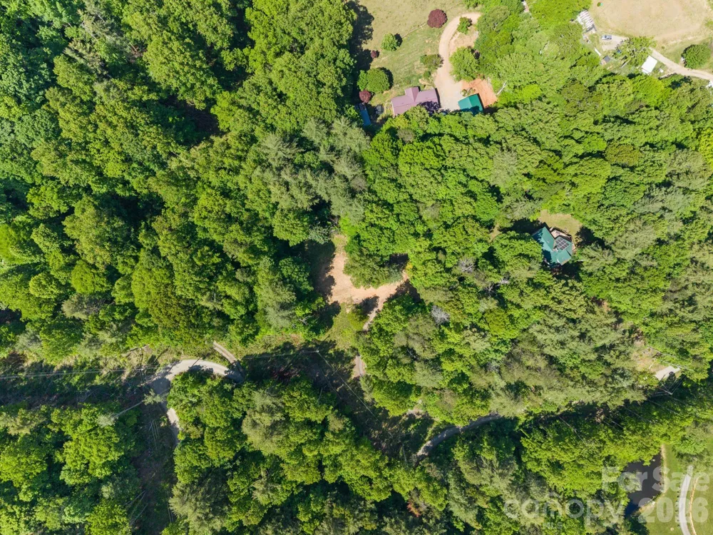 31 White Bridge Road Weaverville, NC 28787