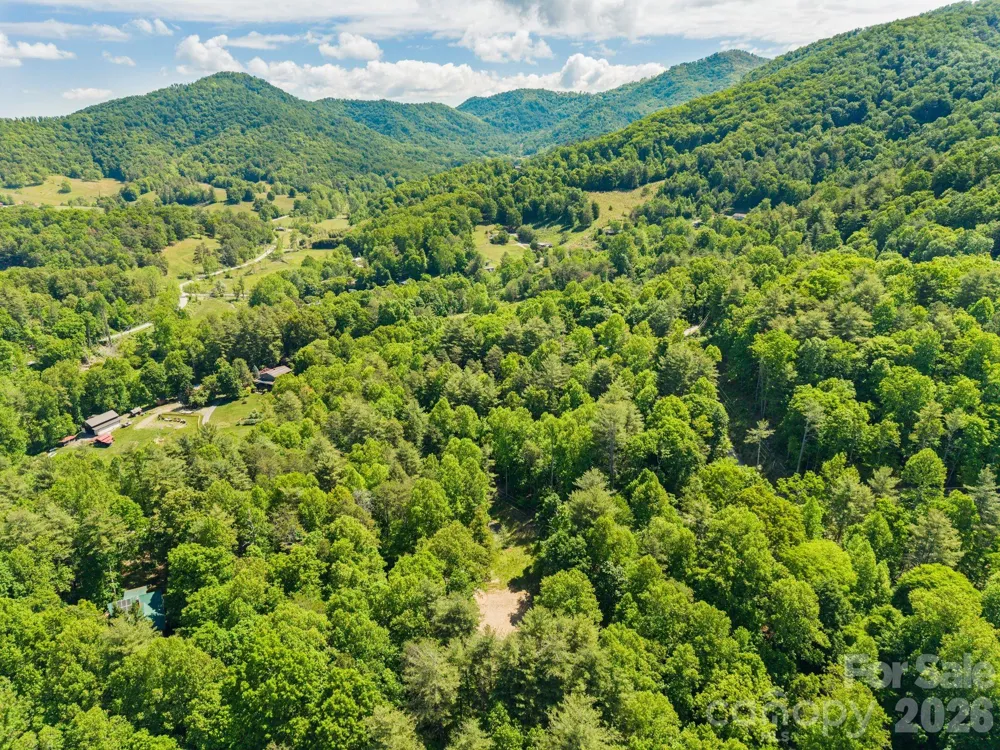 31 White Bridge Road Weaverville, NC 28787