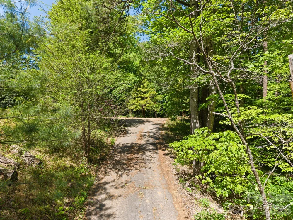 31 White Bridge Road Weaverville, NC 28787