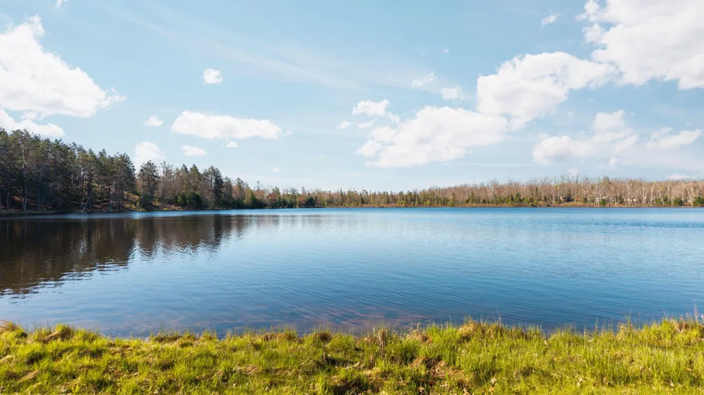 8838 Lakeshore Trail Atlanta, MI 49709