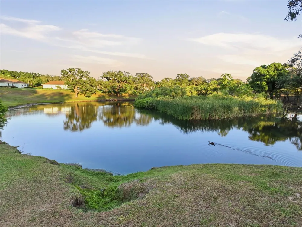 11430 CARRIAGE HILL DRIVE #4 Port Richey, FL 34668