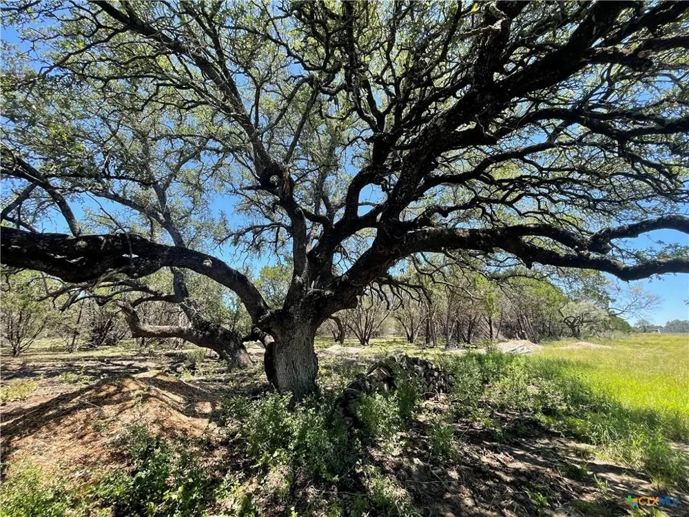 Estate View Circle Lampasas, TX 76550