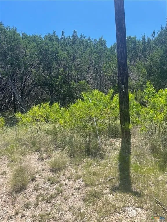 Estate View Circle Lampasas, TX 76550