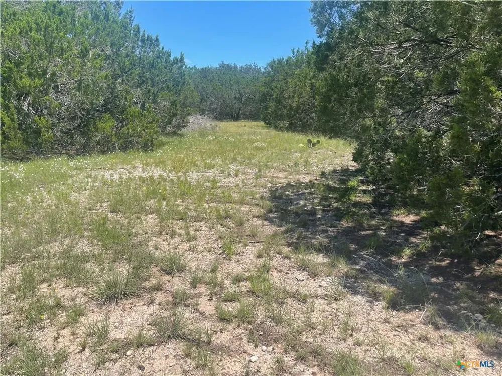 Estate View Circle Lampasas, TX 76550