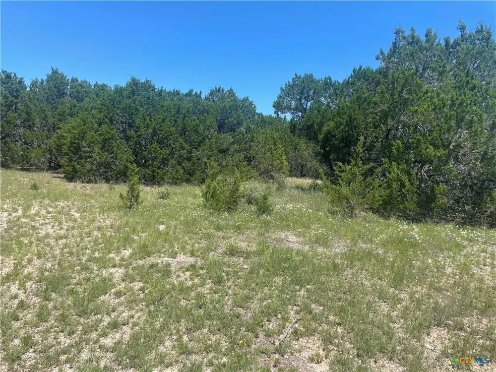 Estate View Circle Lampasas, TX 76550