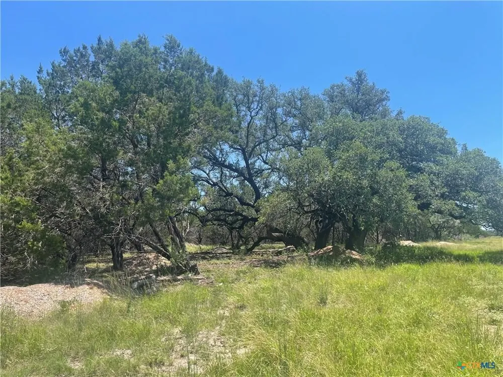 Estate View Circle Lampasas, TX 76550