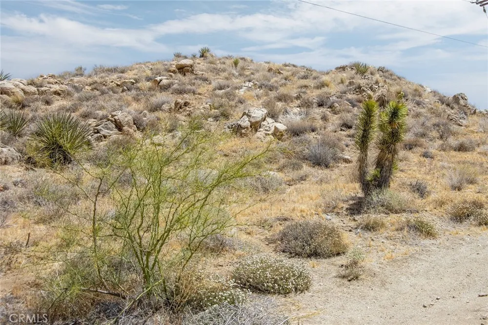 8811 Sage Yucca Valley, CA 92284
