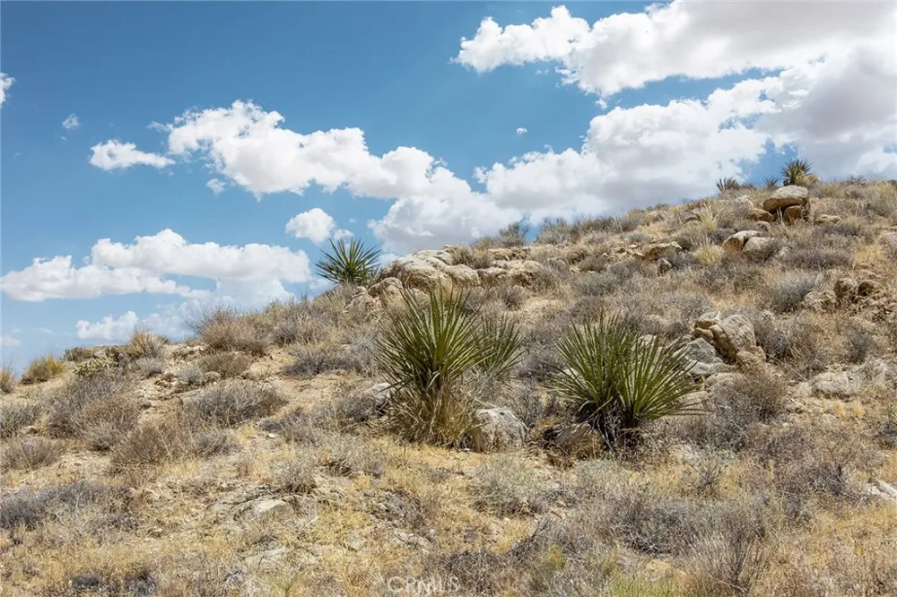 8811 Sage Yucca Valley, CA 92284