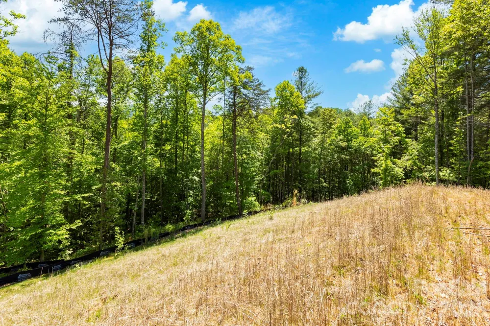 151 Riverbend Forest Drive Asheville, NC 28805