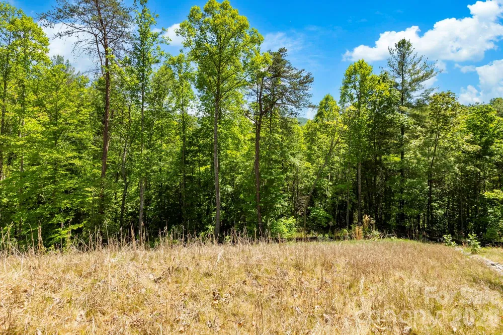 151 Riverbend Forest Drive Asheville, NC 28805