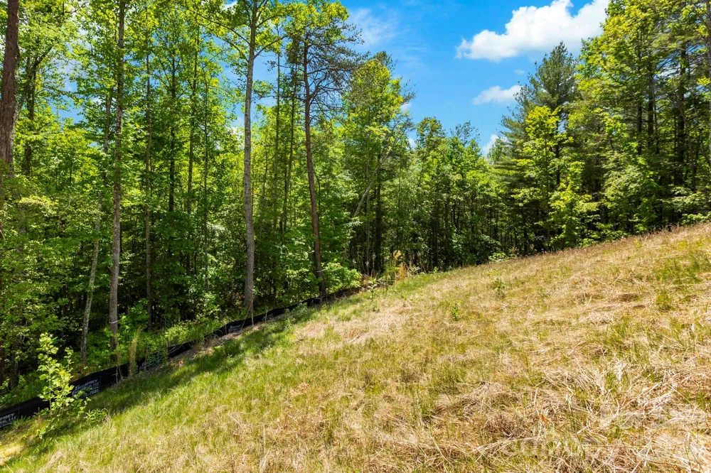 151 Riverbend Forest Drive Asheville, NC 28805