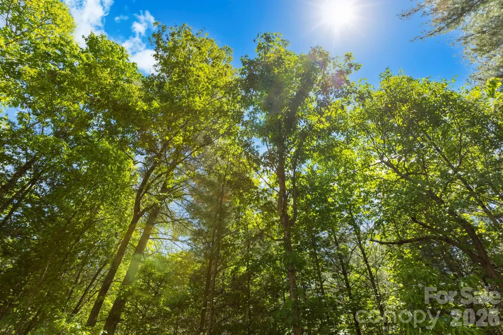 151 Riverbend Forest Drive Asheville, NC 28805