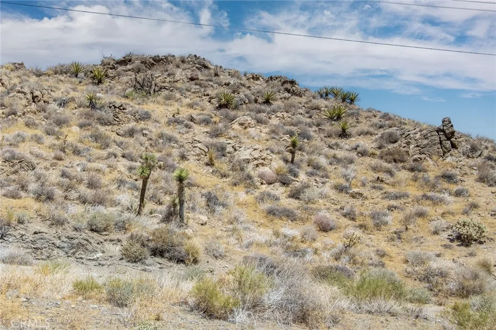 56950 San Andreas Yucca Valley, CA 92284