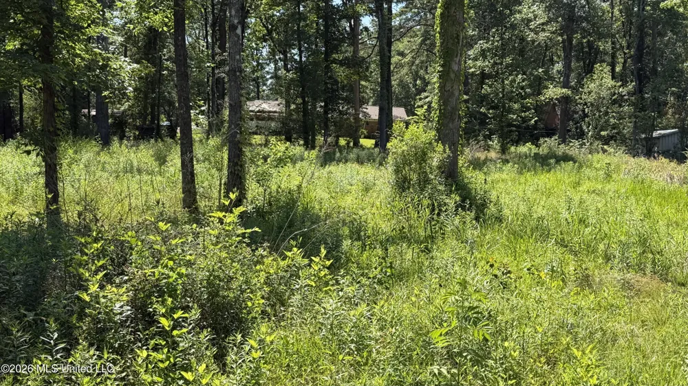 204 Dogwood Drive Forest, MS 39074