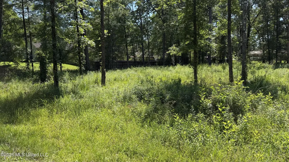 204 Dogwood Drive Forest, MS 39074