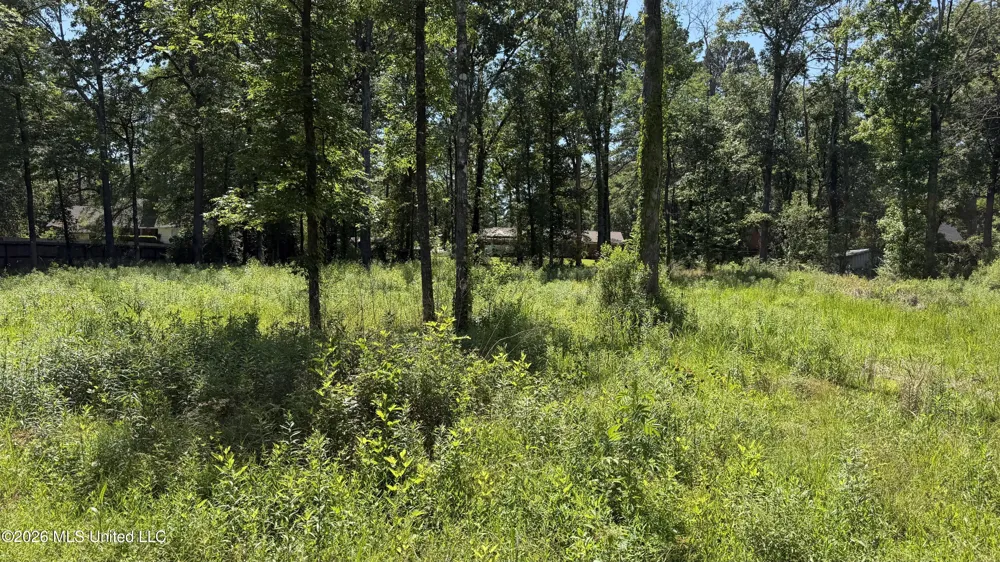 204 Dogwood Drive Forest, MS 39074