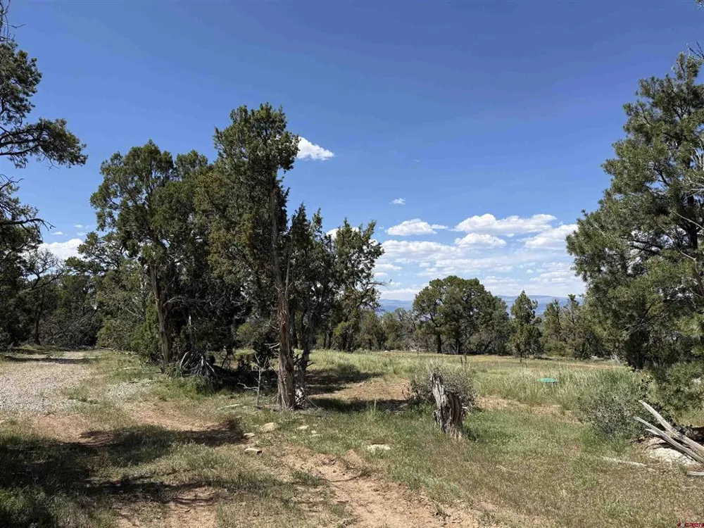 79014 Antler Trail Crawford, CO 81415
