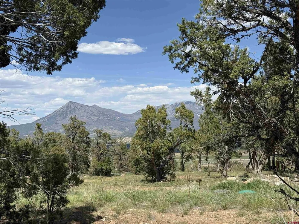 79014 Antler Trail Crawford, CO 81415