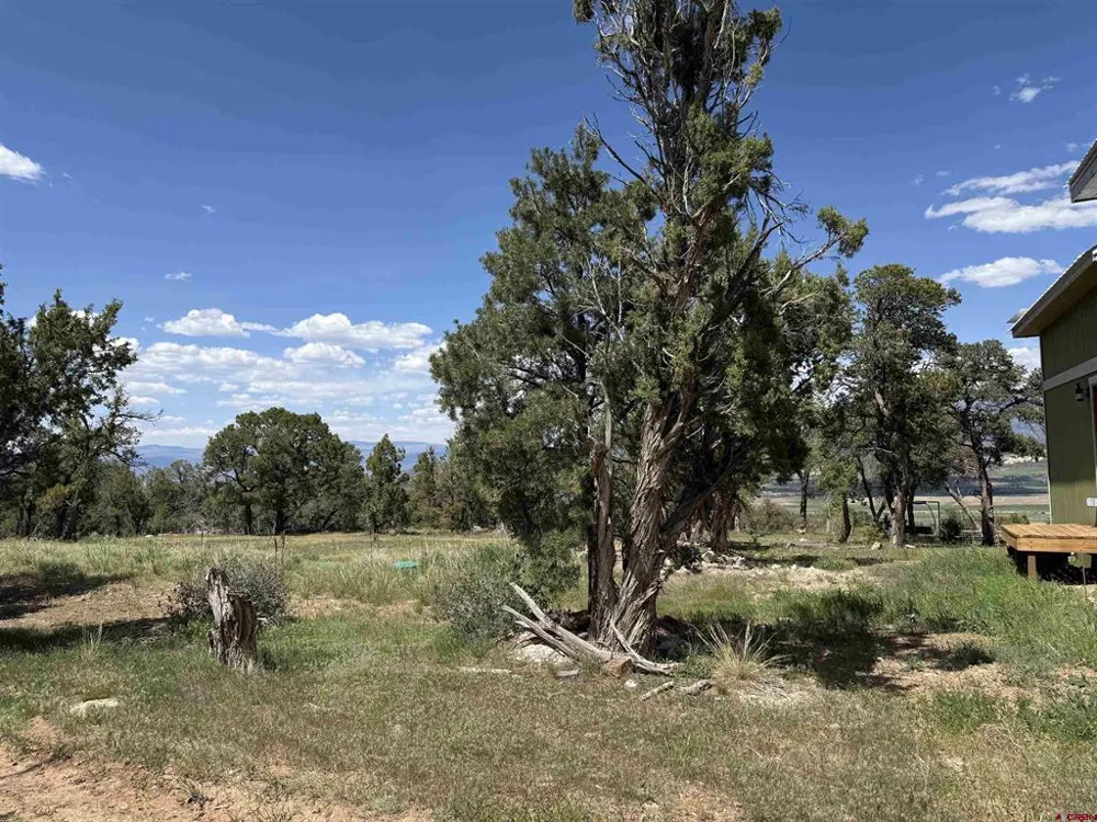 79014 Antler Trail Crawford, CO 81415