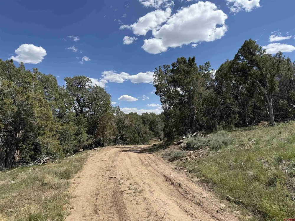 79014 Antler Trail Crawford, CO 81415