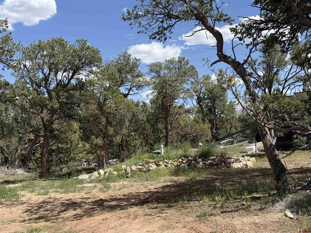 79014 Antler Trail Crawford, CO 81415