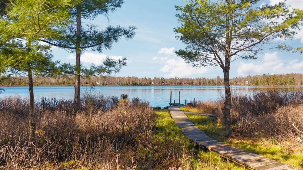 8838 Lakeshore Trail Montmorency Township, MI 49709