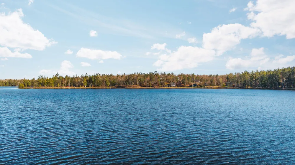 8838 Lakeshore Trail Montmorency Township, MI 49709