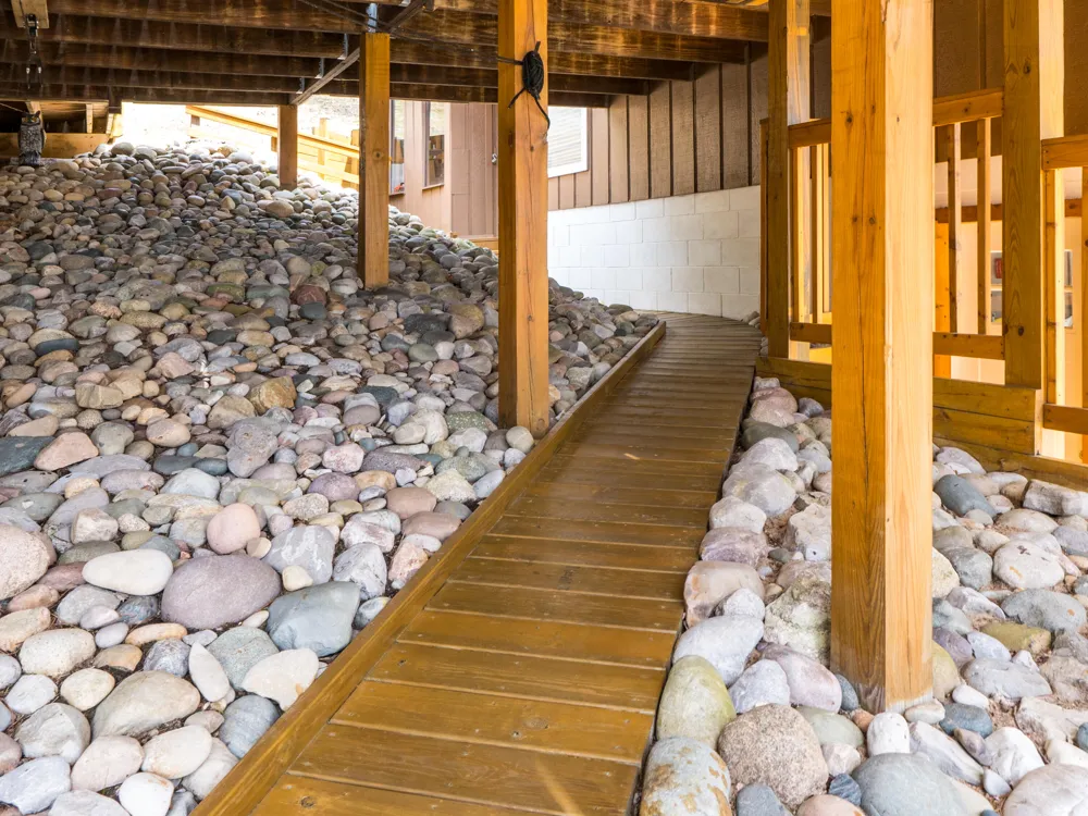 8838 Lakeshore Trail Montmorency Township, MI 49709