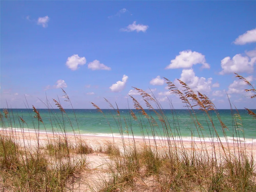 20229 LAGENTE CIRCLE Venice, FL 34293