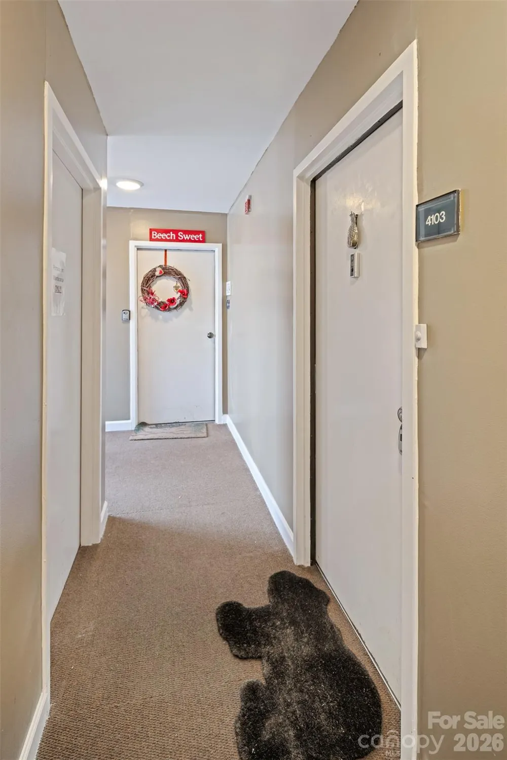 301 Pinnacle Inn Road #4103 Beech Mountain, NC 28604