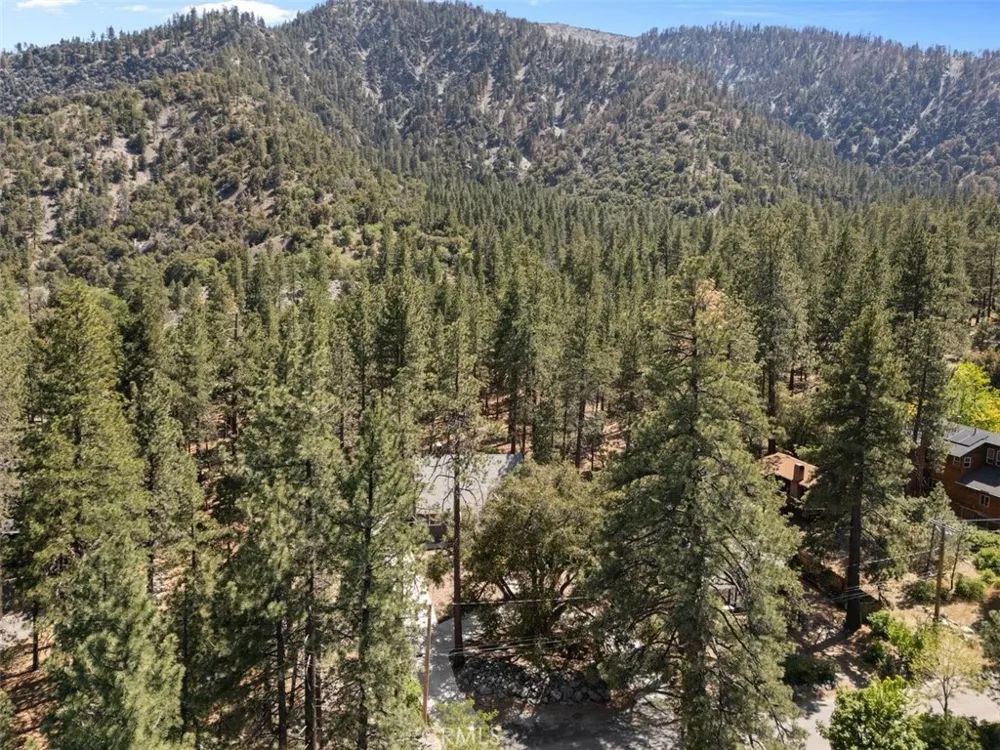 1535 Linnet Wrightwood, CA 92397