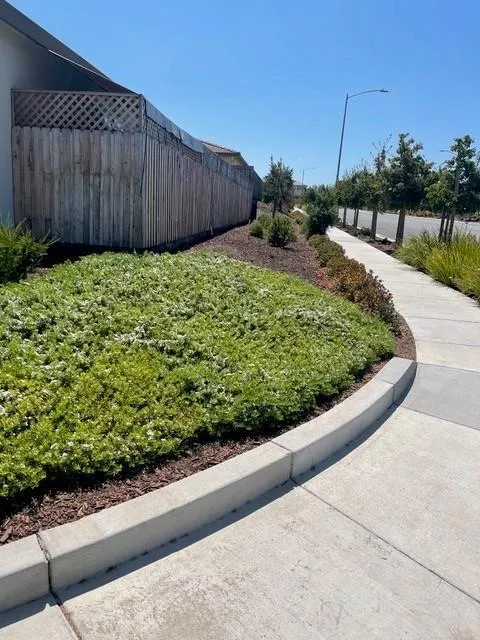 2001 Wildflower Drive Hollister, CA 95023
