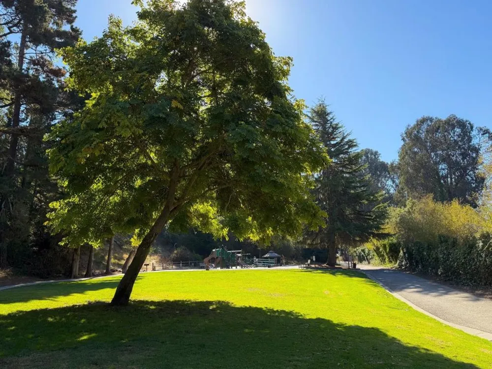 311 Baltusrol Drive Aptos, CA 95003