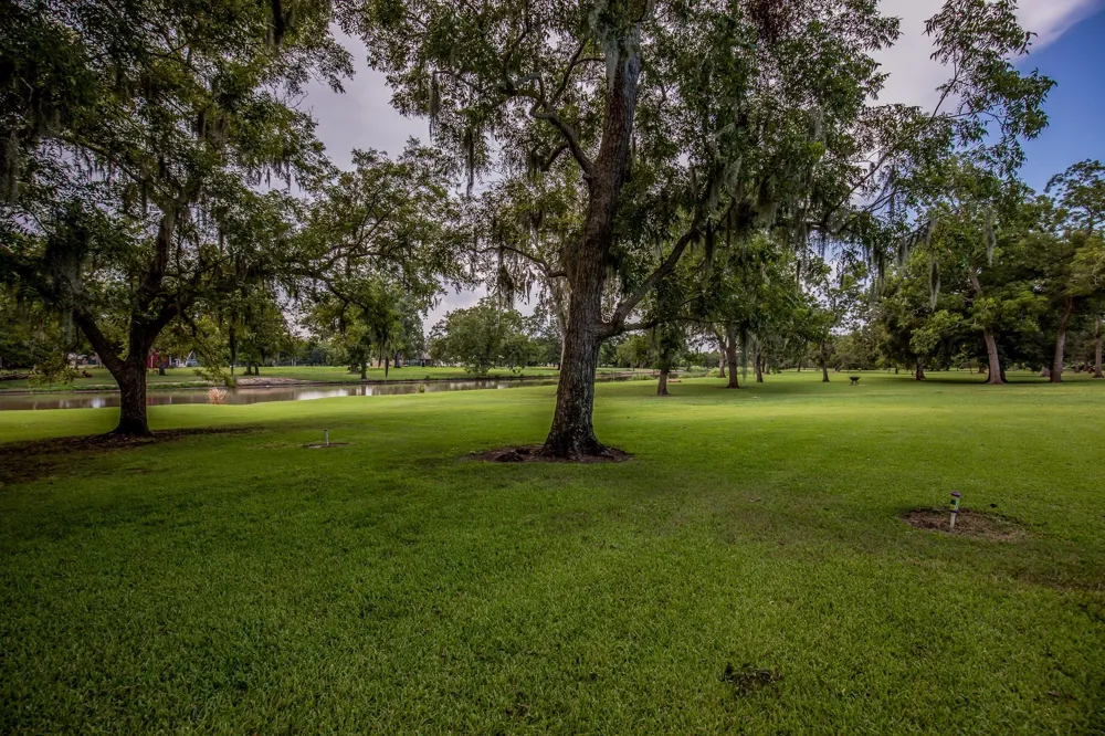 113 Pony Trail Angleton, TX 77515