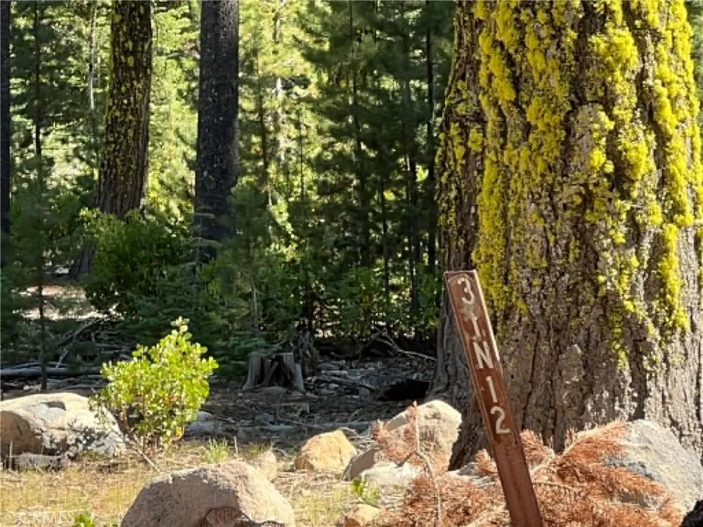 LOGGING ROAD Viola, CA 96088