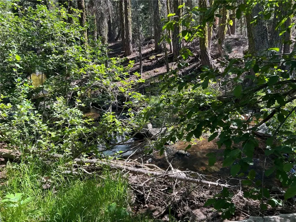 LOGGING ROAD Viola, CA 96088