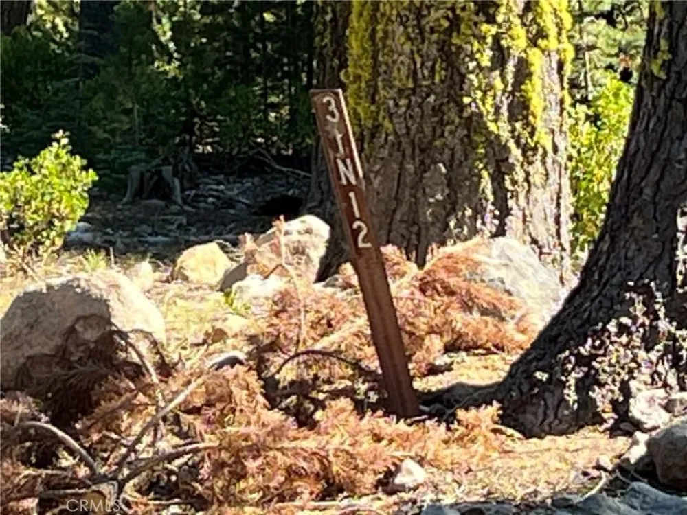 LOGGING ROAD Viola, CA 96088