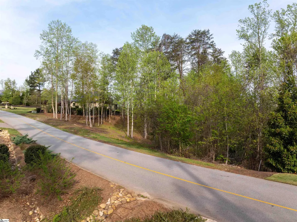 390 Peninsula Ridge Sunset, SC 29685