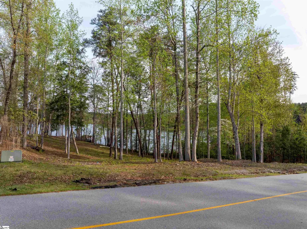 390 Peninsula Ridge Sunset, SC 29685