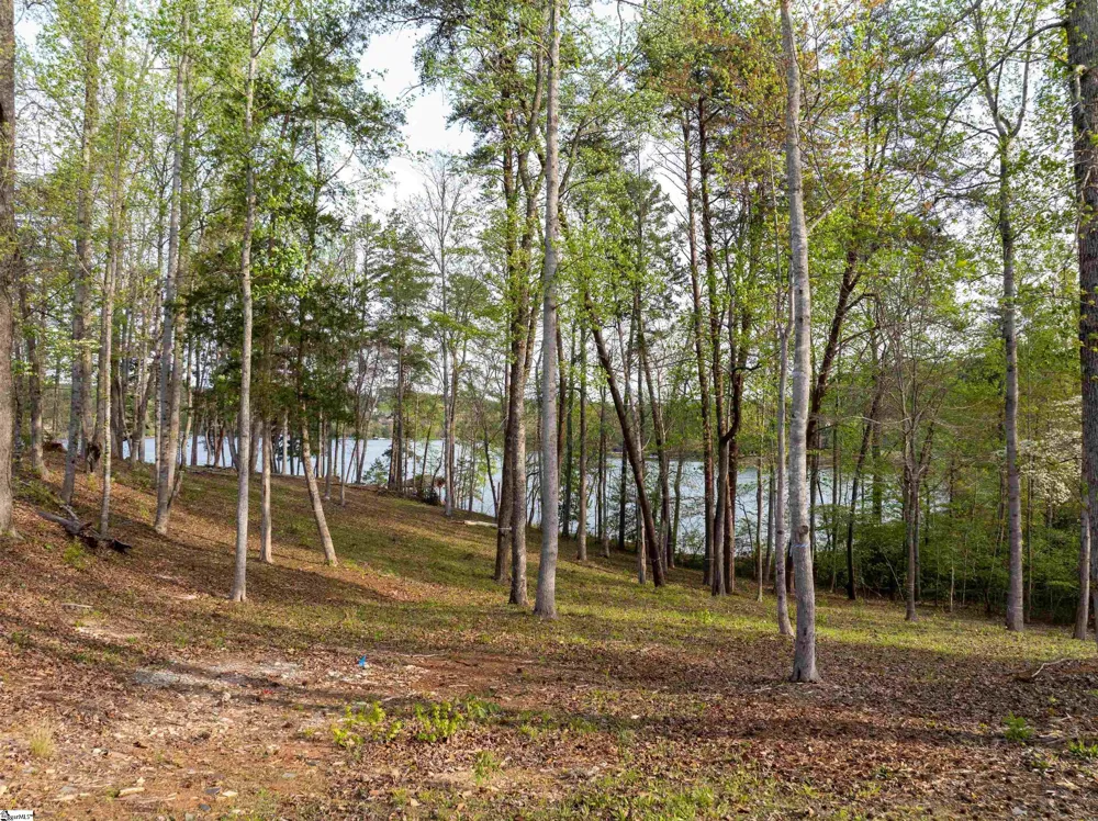 390 Peninsula Ridge Sunset, SC 29685
