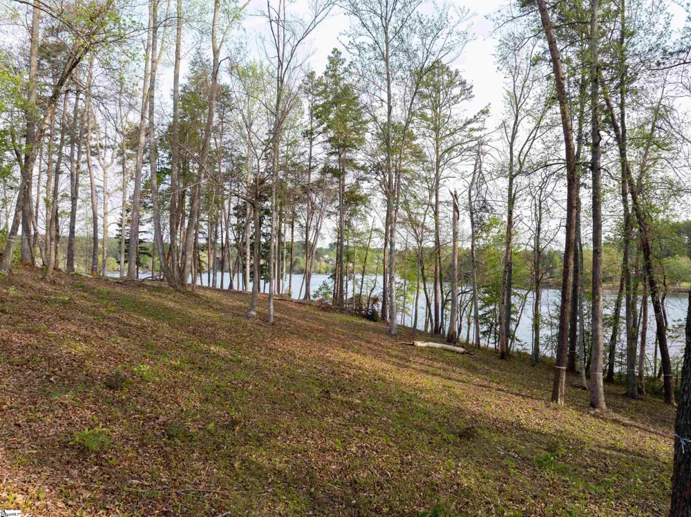 390 Peninsula Ridge Sunset, SC 29685