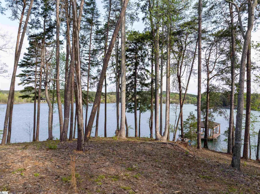 390 Peninsula Ridge Sunset, SC 29685